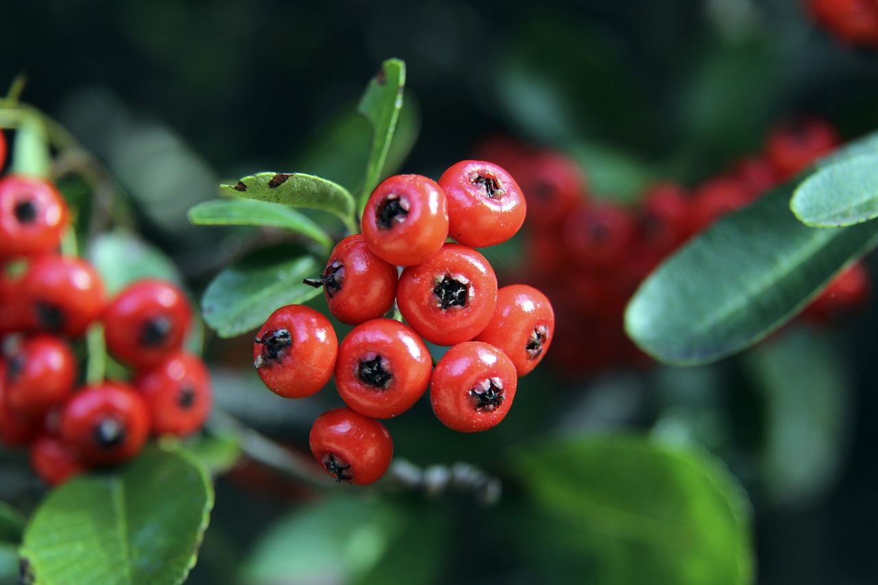 金州勇士在 金州勇士在