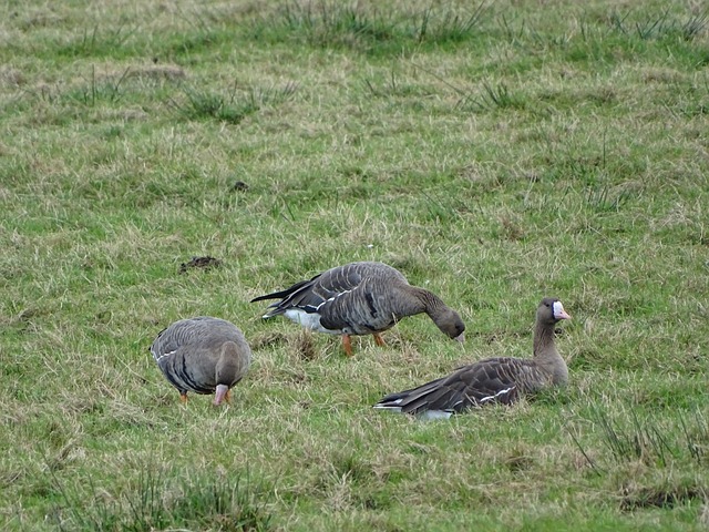能力不断刷 能力不断刷