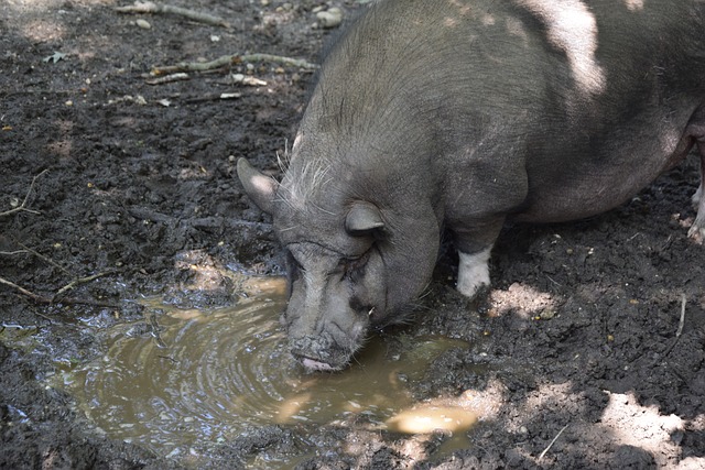 未有的机遇 未有的机遇