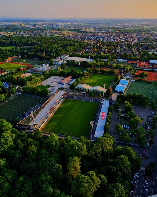 謝菲聯尋求 謝菲聯尋求