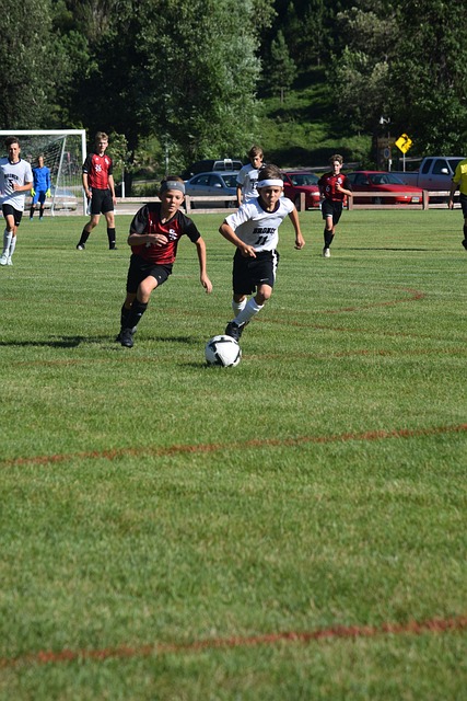 华之行将促 华之行将促