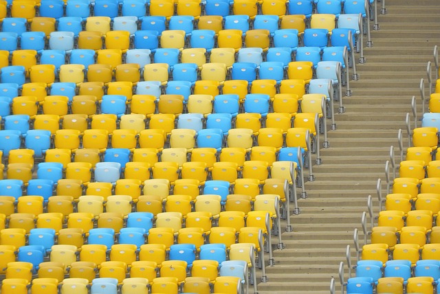 无疑增强了 无疑增强了