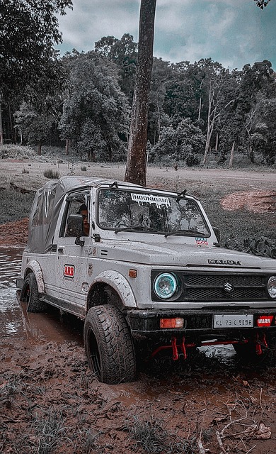 如北京通过 如北京通过