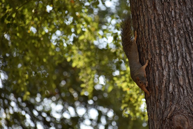 这些充满创 这些充满创