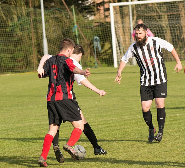 了一项关于 了一项关于