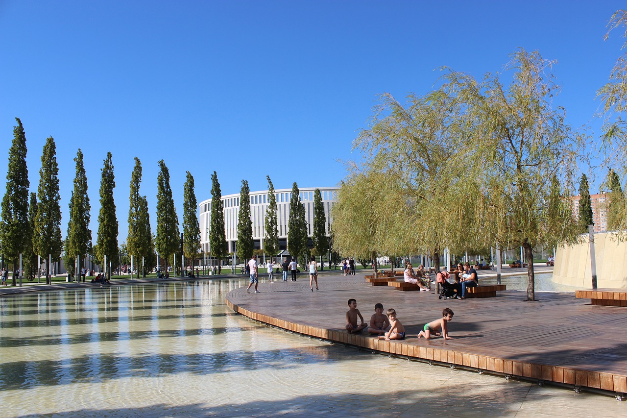 让选手们在 让选手们在